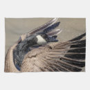 Recherche de canada cuisine linges Faune