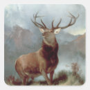 Recherche de landseer autocollants Mâle