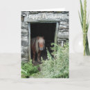 Recherche de poney shetland vœux cartes Chevaux