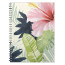 Recherche de papillon tropical Floral