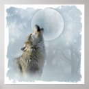 Recherche de loup bleu posters Chien