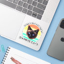 Recherche de siamois coques Humour