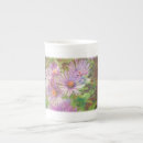 Recherche de aster tasses Nature