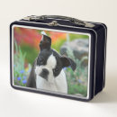 Zoek naar animal lunchboxen Hond