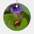 Zoek naar ladybug ornamenten Kever