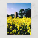 Zoek naar engelse natuur briefkaarten Landschap