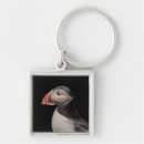 Recherche de puffin porteclés Animal