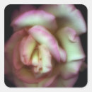 Recherche de affection autocollants Américain