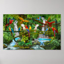 Recherche de peinture de perroquet posters Perroquets