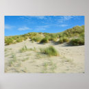 Zoek naar duinen posters Landschap