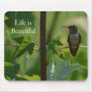 Recherche de colibri tapis souris Branche
