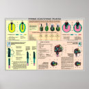 Recherche de temps de guerre posters Militaire