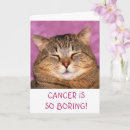 Recherche de chat idiot vœux cartes Rire