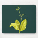 Recherche de plantes vertes tapis souris Pour elle