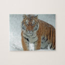 Recherche de tigres puzzles Neige