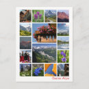Recherche de suisse cartes postales Europe