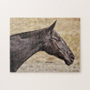 Zoek naar paarden puzzels Zwarte paard
