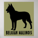 Recherche de chien berger belge posters Animal