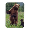 Recherche de alaska magnete Brun