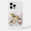 Recherche de chanteurs coques Floral