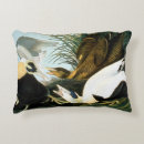 Recherche de jules bien Canard