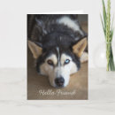 Zoek naar husky kaarten Modern