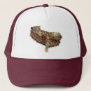 Zoek naar luipaarden petten Wild