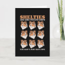 Recherche de sheltie vœux cartes Chien mouton shetland