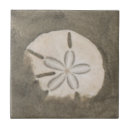 Recherche de dollar de sable carreaux Plage