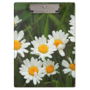 Recherche de seattle washington porte blocs Horizontal