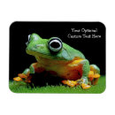 Recherche de crapaud magnets Animaux
