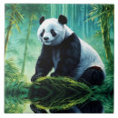 Recherche de panda carreaux Asiatique