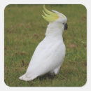 Recherche de oiseau mignon autocollants Blanc