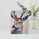 Recherche de wild animals cartes postales Mignon