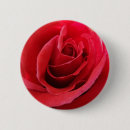 Recherche de rose rouge simple badges Fleur