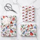 Recherche de noël botanique papier cadeau Rouge et blanc