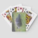 Recherche de pigeon jeux de cartes Mignon