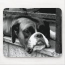 Recherche de chien blanc noir tapis souris Monochrome