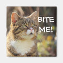 Recherche de bite magnets Mignon