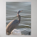 Zoek naar blauwe reiger kunst Dieren