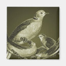 Recherche de ornithologie magnets Faune