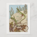 Recherche de verneuil cartes postales Nature