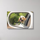 Recherche de labrador retriever art Pet