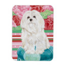 Recherche de magnets Chiot