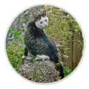 Recherche de chat blanc boutons et poignées de porte Félin