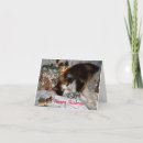 Zoek naar kattenkerstmis kaarten Grappig