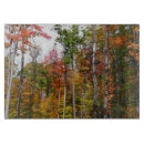 Recherche de plancher de forêt Arbre