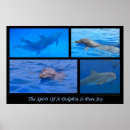 Zoek naar dolfijnen posters Water