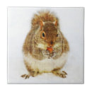 Zoek naar eikel tegels Eekhoorn