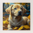 Zoek naar labrador puzzles Herfst